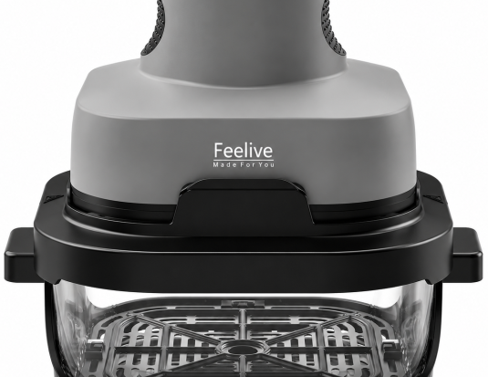 Feelive Crispy Dual Glass Digital Air Fryer